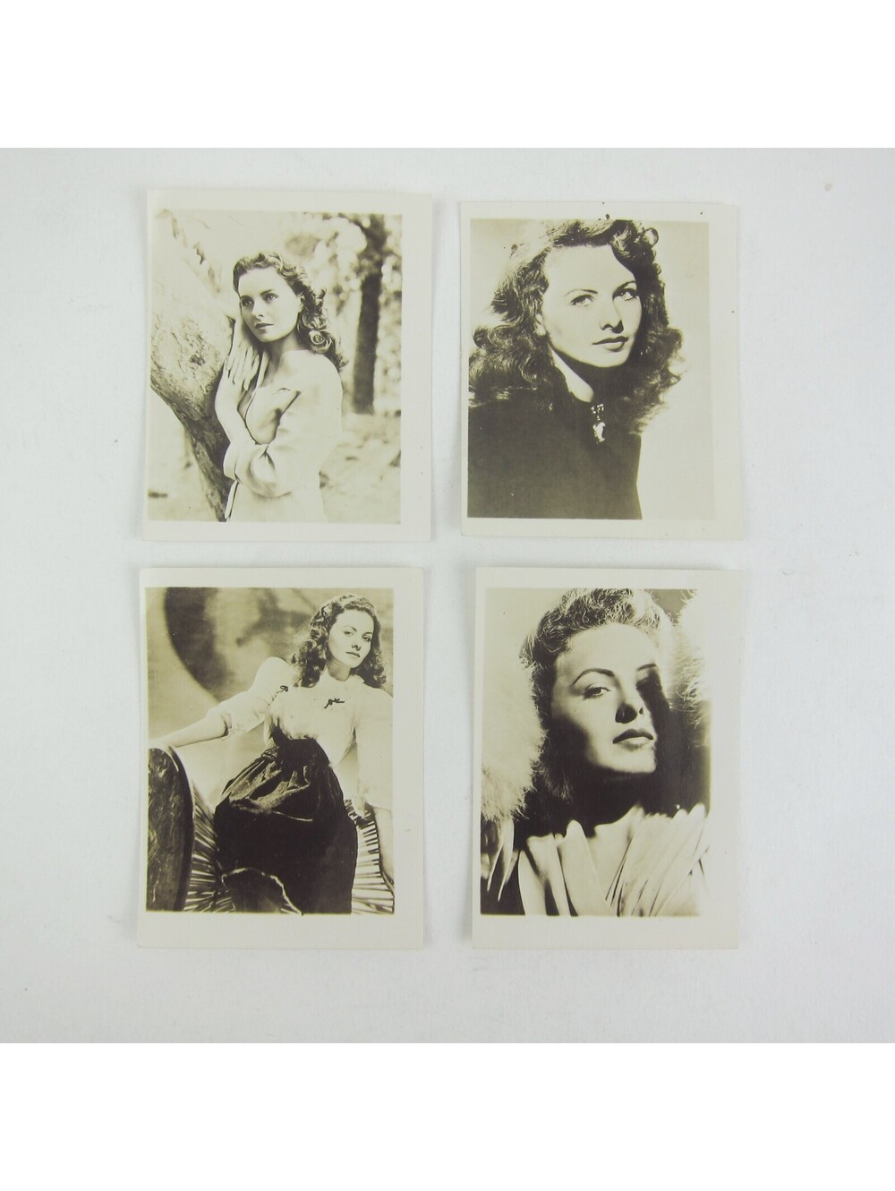 Jeanne Craine Photographs Lot of 4 Hollywood Actress Film Star Vintage 1940s